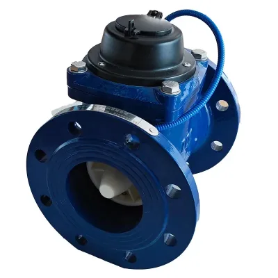 China Factory OEM Large Caliber Mechanical Water Meter Flow Measurement