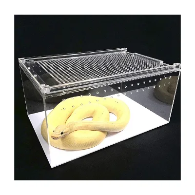 Living Room Integrated Small Acrylic Reptile Breeding Box for Spiders and Lizards