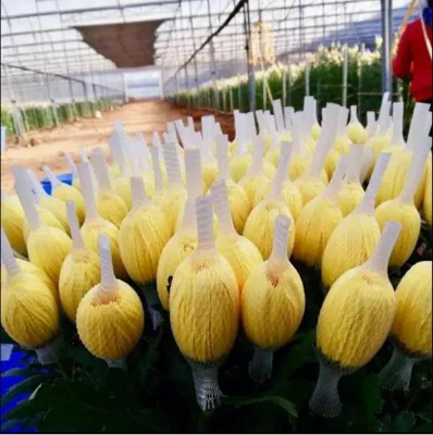 Multi-Purpose Elastic Floral Arrangement Flower Protection Net for Lily&Chrysanthemum