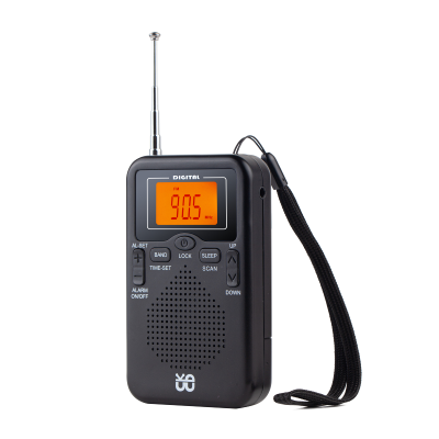 NEW Portable Mini Radio Handheld Dual Band AM FM Internet Radio with LCD Display Alarm Clock Outdoor Home Use