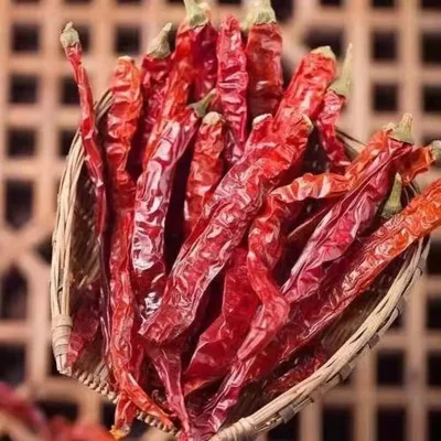 Bulk Supply Dried Red Whole Chili Bullet Pepper | Premium Quality Hot Chili for Spice Wholesale | Natural Dried Red Pepper