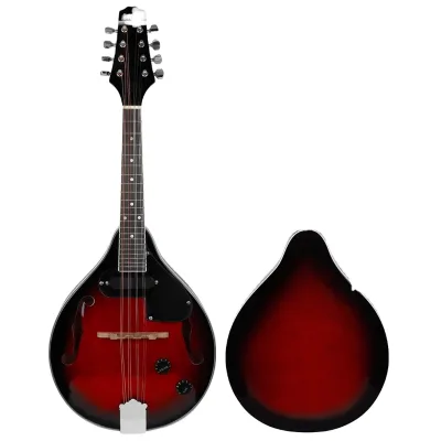 Wholesale cheap Beginners' First Choice Electroacoustic Mandolin Selected Rose Solid Wood Plucked National Instrument
