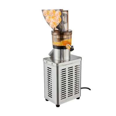 Professional Juicer Pineapple Juice Maker Orange Apple Juice Extractor Machine for Stall Store