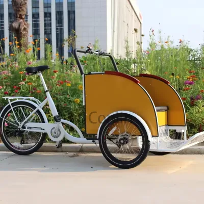 Europe Style 2 Seats Pedicabs Electric Assist Taxi Bike Convertible Sightseeing Tricycle Aluminium Alloy Rickshaw for Sale