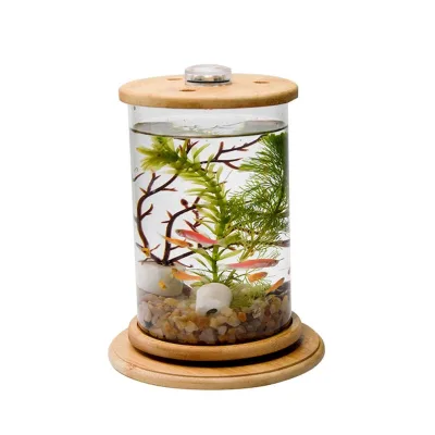 AquaView 360 Eco-Friendly 6-Gallon Plastic Aquarium Kit with LED Lighting & Power Filter Clear Glass for Tropical Fish & Betta