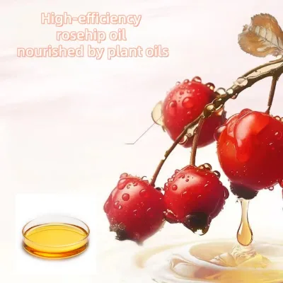 100% Pure Natural Rosehip Oil Cold Pressed Oil for Hair Body Massage Skin Care Bulk Oil Supplier Comfort