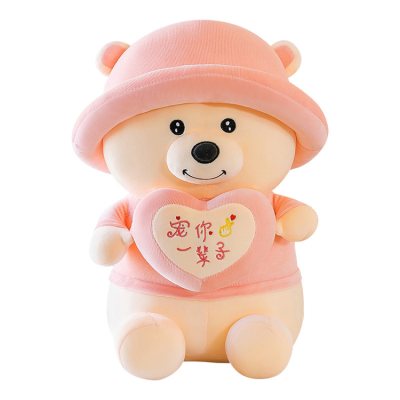 Cute Plush Toy Hug Bear Teddy Bear Girl Birthday Gift