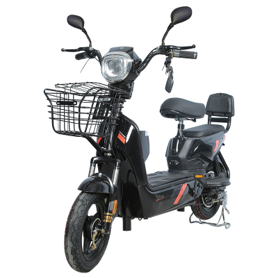Electric Road Bike Adult Electric Motorcycle Ebike Electric Bike