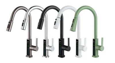 Pull Out Swivel Kitchen Faucet, Mixer Water, Retractable Sink Faucet for Home, Anti Splash Tap for Washing Vegetables Dishes