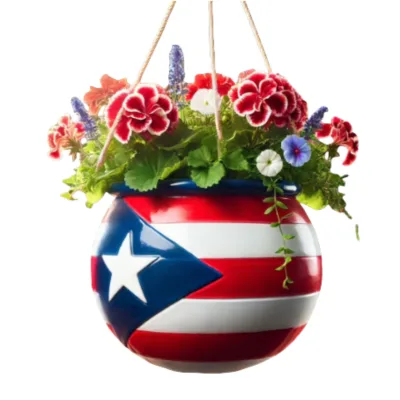 Hanging Planter for Plants