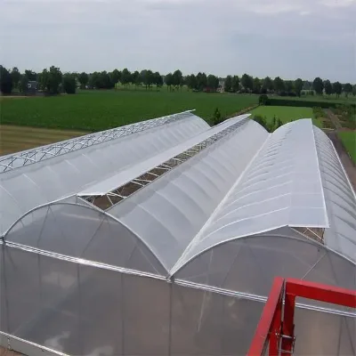 Affordable and Convenient Hot-Dip Galvanized Breeding Greenhouse for Poultry