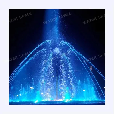 Stainless Large Interactive Water Dancing Program Control System Fountains for Plaza Hotel Garden with Modern Design