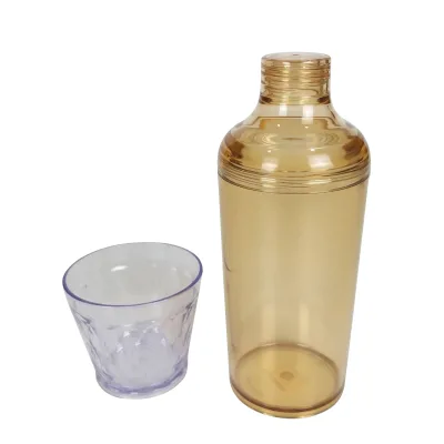 Functional Acrylic Plastic Fruit Tea Water Bottle