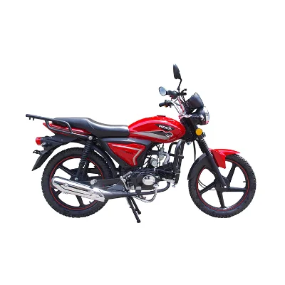 Russia Popular Street Legal Motorcycle 110cc