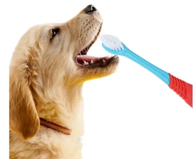 Factory Wholesale Double Heads Cat Dental Brush Pet Tooth Brush Dog Toothbrush Dental Care