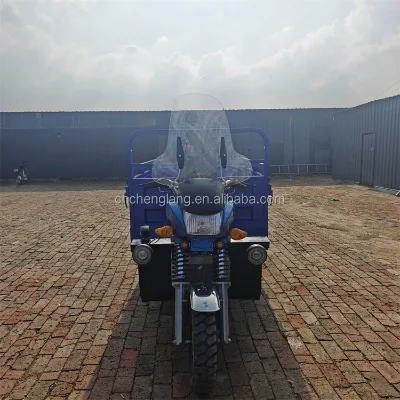 Powerful Motorized Heavy Load Transportation Urban Rural Areas Fuel Powered Three Wheeled 200cc High-Power Engine Heavy-Duty