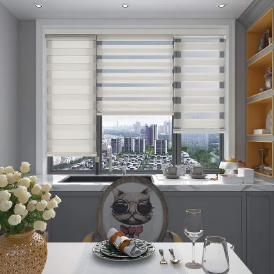 Multifunctional Roman Style Zebra Blind Shades Electric Plain Technique Factory Polyester Fabric Contemporary French Window