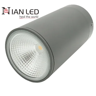 IAN Aluminum LED Downlighting IP65 Outdoor Ceiling Light-round Design White/Black/Grey 85-265V