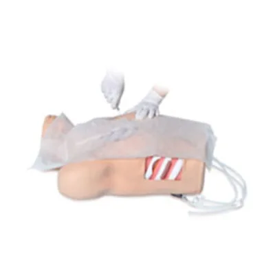 CS6228 Thoracic Cavity Closed Drainage Model Medical Science Product
