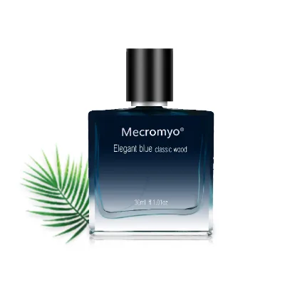 OEM/ODM Private Label Men Cologne Fragrance Parfum Eau De Parfum Long Lasting Men's Perfume Perfumes for Men
