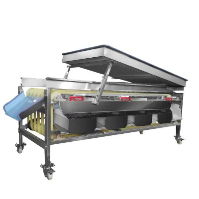 Fruit Washing and Sorting Machine Lemon Sorter Fruit Sorter and Parkaging Color Sorter Dried Fruit