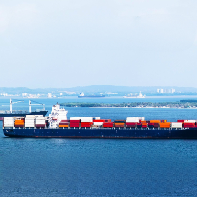 Forwarding Transport DHL DDP International Sea Freight Air Freight Forwarder Logistics Services Shipping Agent