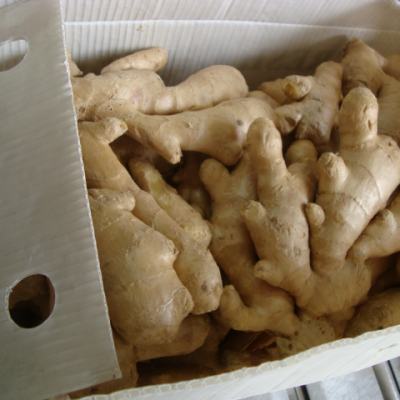 Dried Ginger Export Prices Top Quality!