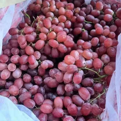 China Product Chinese Fresh Red Table Grape Fruit Seedless Red Globe Crimson Grape