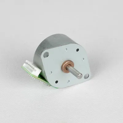 Faradyi PM Stepper Motor 25BY-048-01 Permanent Magnet 75-Degree Step Angle 2-Phase DC for Massage Devices Stage Lighting