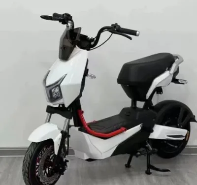 New Electric Dirt Bicycle with Bluetooth Sensor 48V Tube Battery LCD Display Rear Hub Motor One-Year Warranty