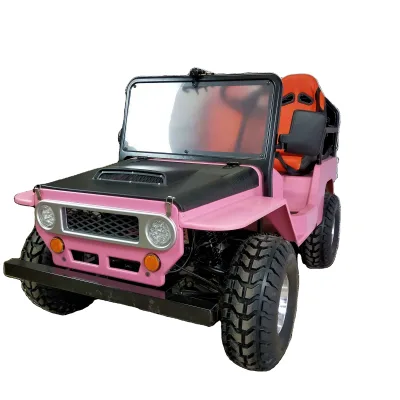 Mini Willys Buggy 150cc 2 Seats 2WD 4 Stroke Automatic Transmission with EEC & EPA Certifications (Standard)
