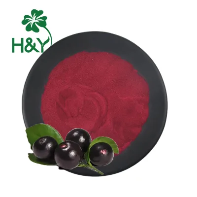 100% Natural Fresh Acai Berry Extract Acaiberry Powder Acaiberry Extract
