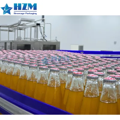 200ml-2000ml Complete GlassBottle Juice Beverage Filling Line/ 3 in 1 Automatic Glass Bottle Filling Machine for CSD