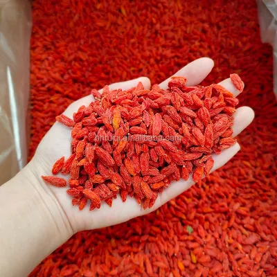 Health Cleanse Goji Berries Maca Energy Tonic Tea for Man and Woman