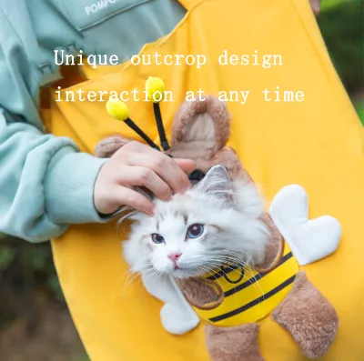 Factory Outlet Carton Style Carrier Bag and Transport Bag for Pet