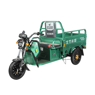 Cargo Tricycle Motor Cycle China for Adults Triciclo De Carga to Chile