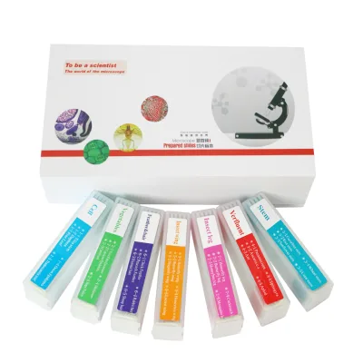 Observation of 35 types of biological slides in English with EVA sponge lining microscope specimens in a glass high-definition