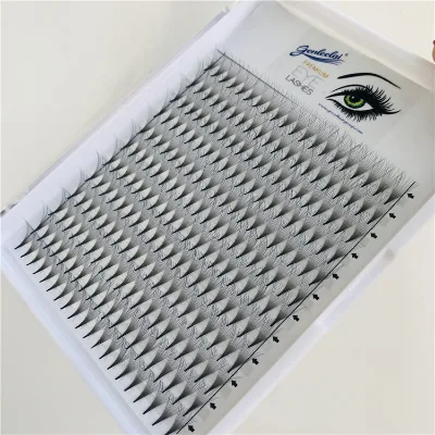 Customized Private Label Premade Fan Eyelashes in Matter Black 3D 4D 5D 6D 7D 10D 12D 20D 0.05 0.07 0.10 C D Curl