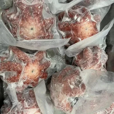Frozen Big Size Octopus WHOLE ROUND Octopodidae Frozen Cooked Octopus WR IQF Cooked Octopus