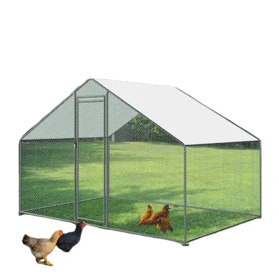 High Quality Chicken Coop for 300 Chickens Great Farm's Used and New Animal Cage for Home Use