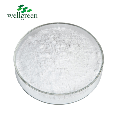 Wellgreen Bulk Food Grade L-carnitine Powder Dietary Supplement Acetyl-l-carnitine