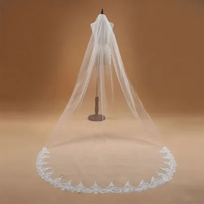 Hot Sale China Trailing Wedding Dress Accessories Bridal Veil White Rice White Lace Sequin Lace 3M Veil