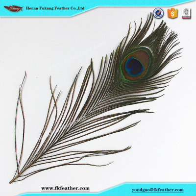 Natural Artificial Peacock Feathers for Mask Decoration