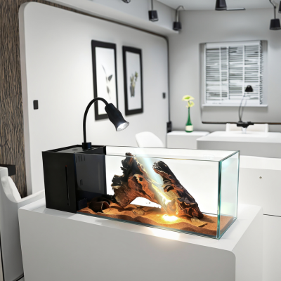 Modern Style Aquarium Rectangle Fish Tank Glass Material Aquarium for Home