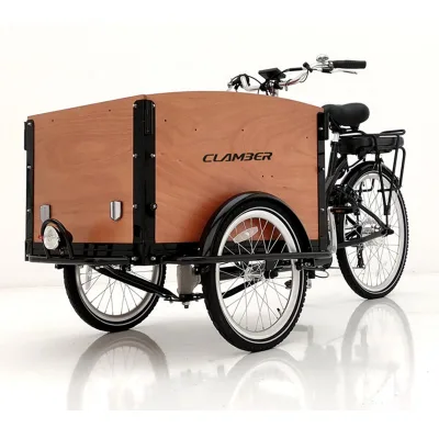 Hub Motor 250w Tricycle Electric 3 Wheel Bike Wooden Box Bike with Seat