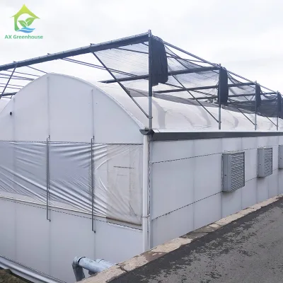 Tropical Agriculture Plastic Black White Film Blackout Seedling Automatic Retractable Roof Greenhouse With Black Shading System