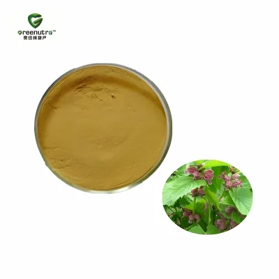 Phlomis Umbrosa Extract Powder Greenutra Brand Drum Packaging Traditional Health Food & Modern Dietary Supplement