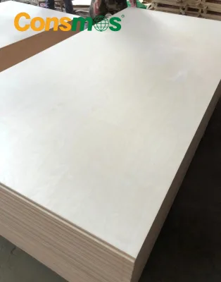 Baltic Birch Hardwood Plywood Sheet 18mm Clear Finish for Interior Furniture Making