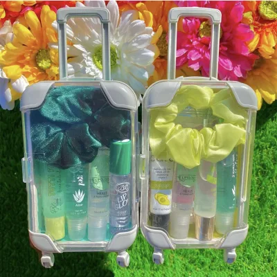 Wholesale Custom Mini Plastic Small Makeup Case Multiuse 3D Model False Eyelashes Vendor Packaging for Faux Mink Eyelashes Tools