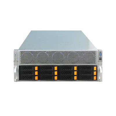 Custom 4U 12-drive deep learning AI arithmetic GPU server